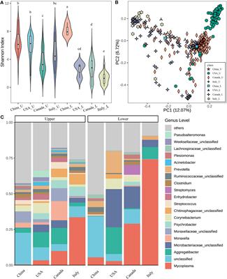 The spatial dissimilarities and connections of the microbiota in the upper and lower respiratory tract of beef cattle